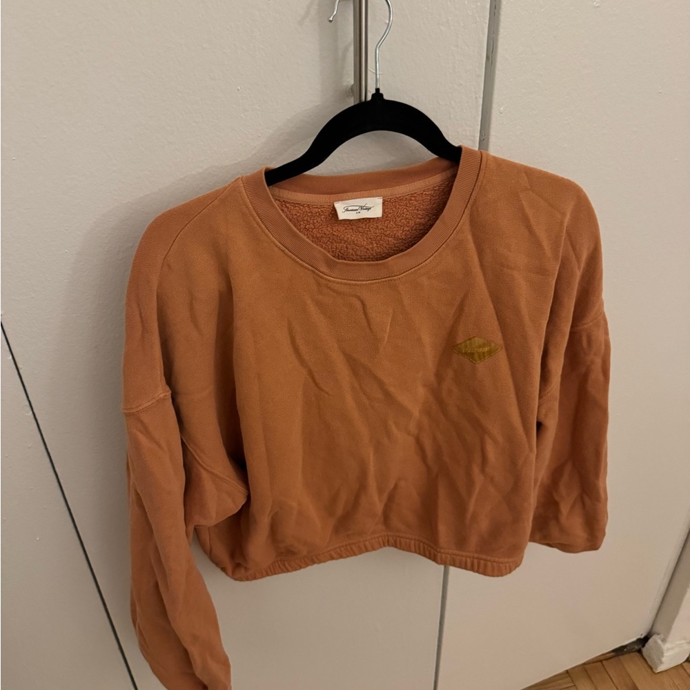 American vintage cropped sweatshirt